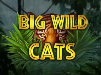Wildzy Casino screenshot